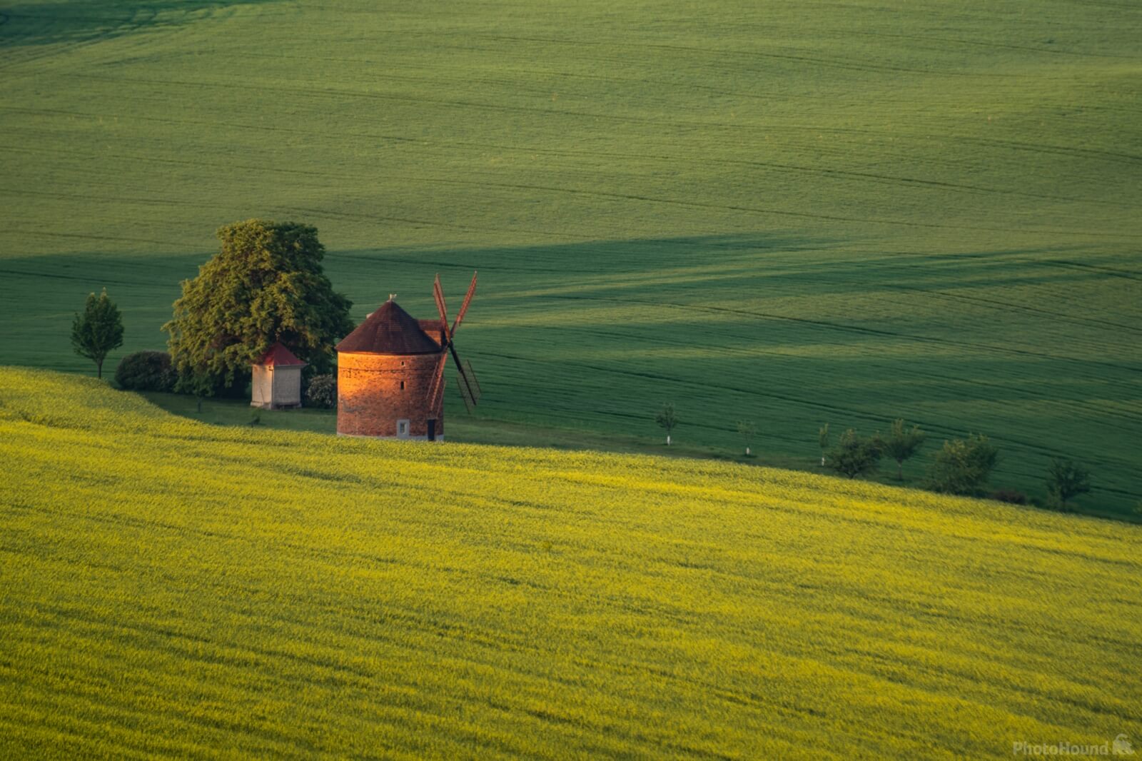 Image of Chvalkovice windmill by Cezary K. Morga
