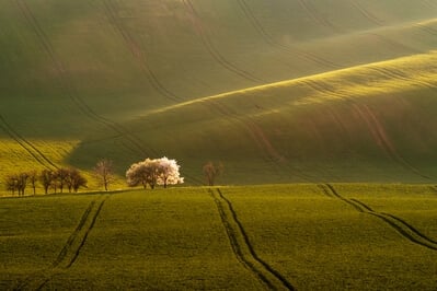 pictures of Southern Moravia - Tsunami