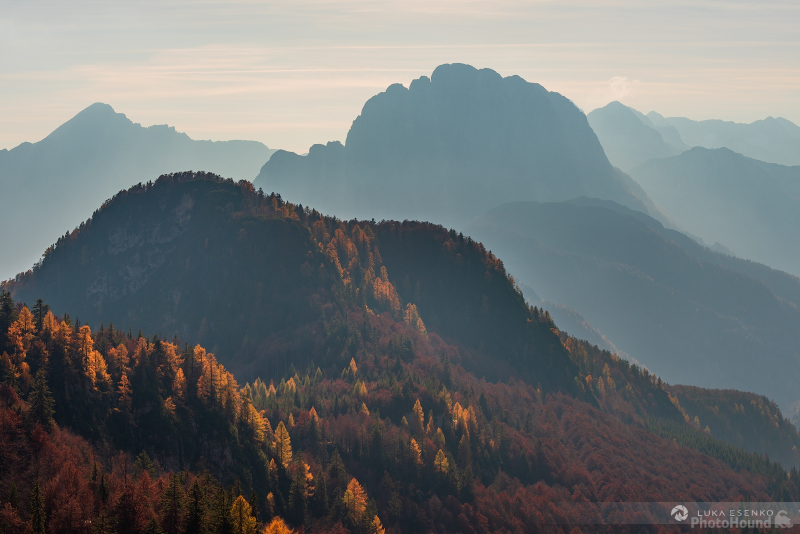 Image of Alpine Road & Larch Trees by Luka Esenko