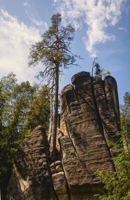 Photo of Adršpach-Teplice Rocks - Adršpach-Teplice Rocks