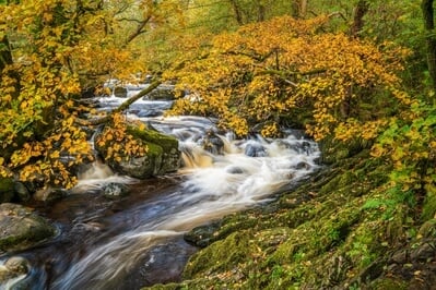 Autumn colours in the river just above the lower cascade