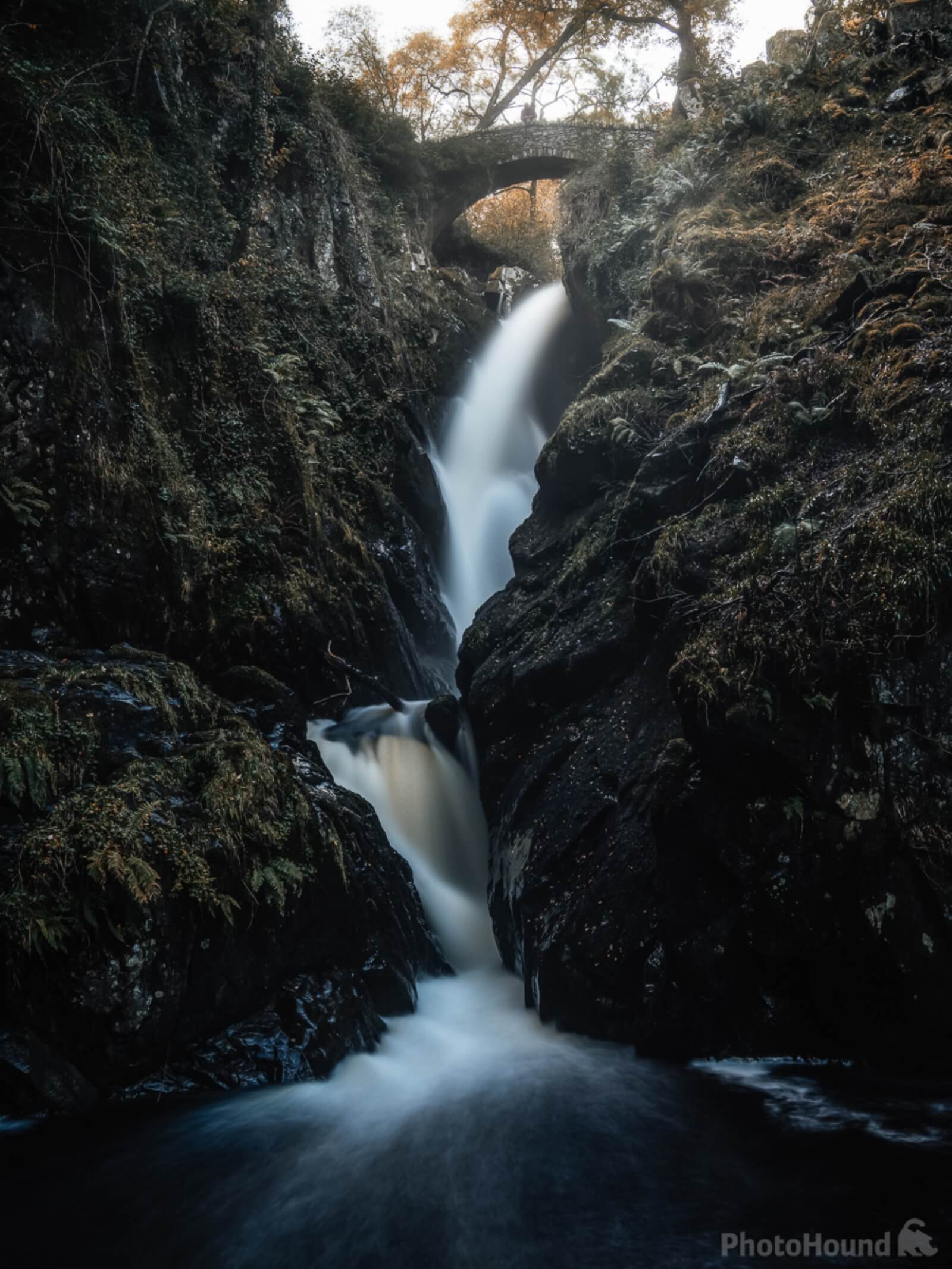 Image of Aira Force and High Forces, Lake District by James Billings.
