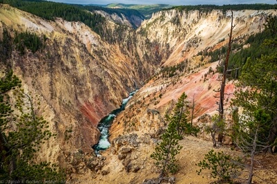 pictures of Yellowstone National Park - Inspiration Point