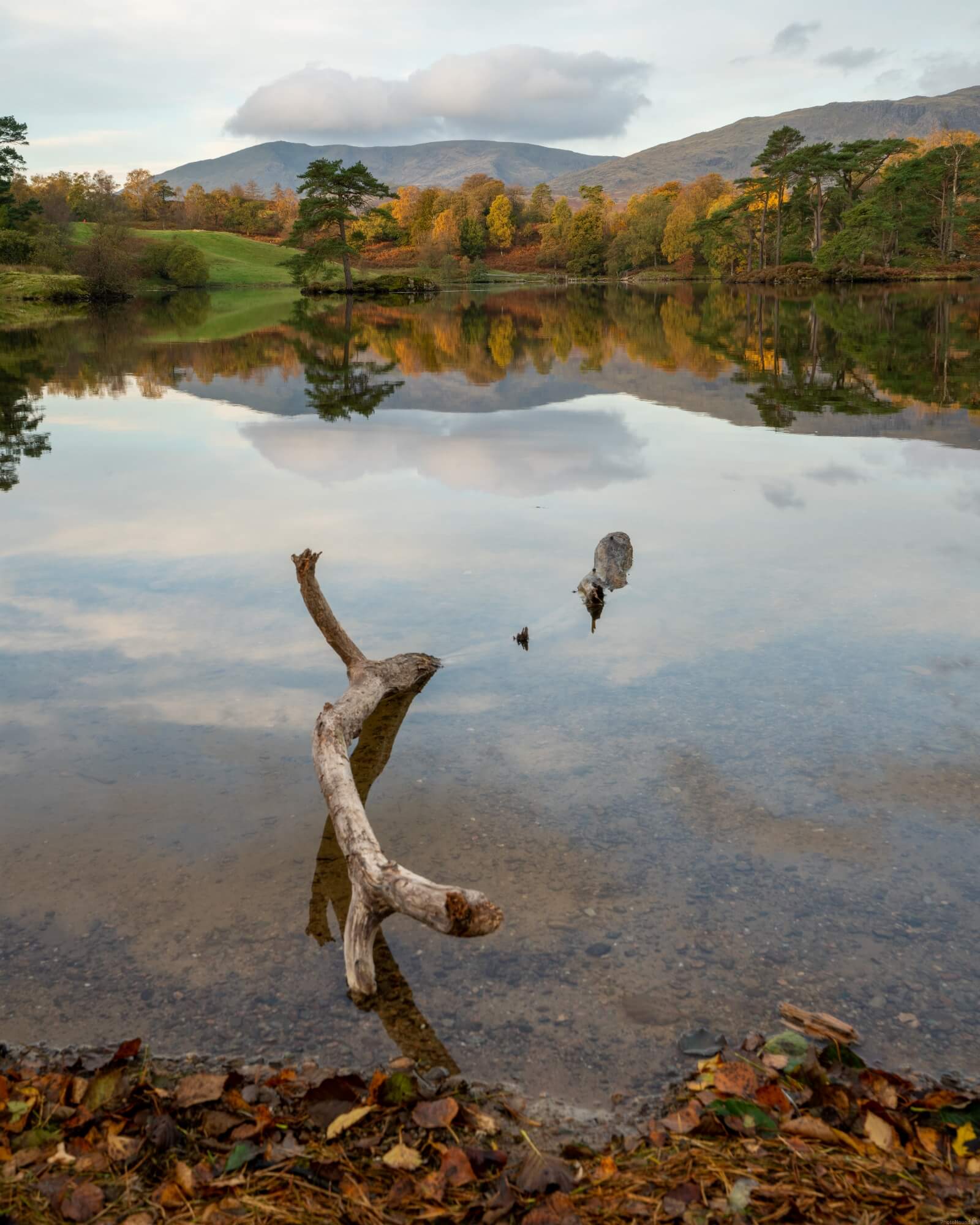 Image of Tarn Hows, Lake District by Oliver Sherratt