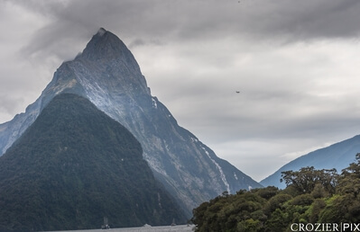 New Zealand photos - Milford Sound Boat Cruise