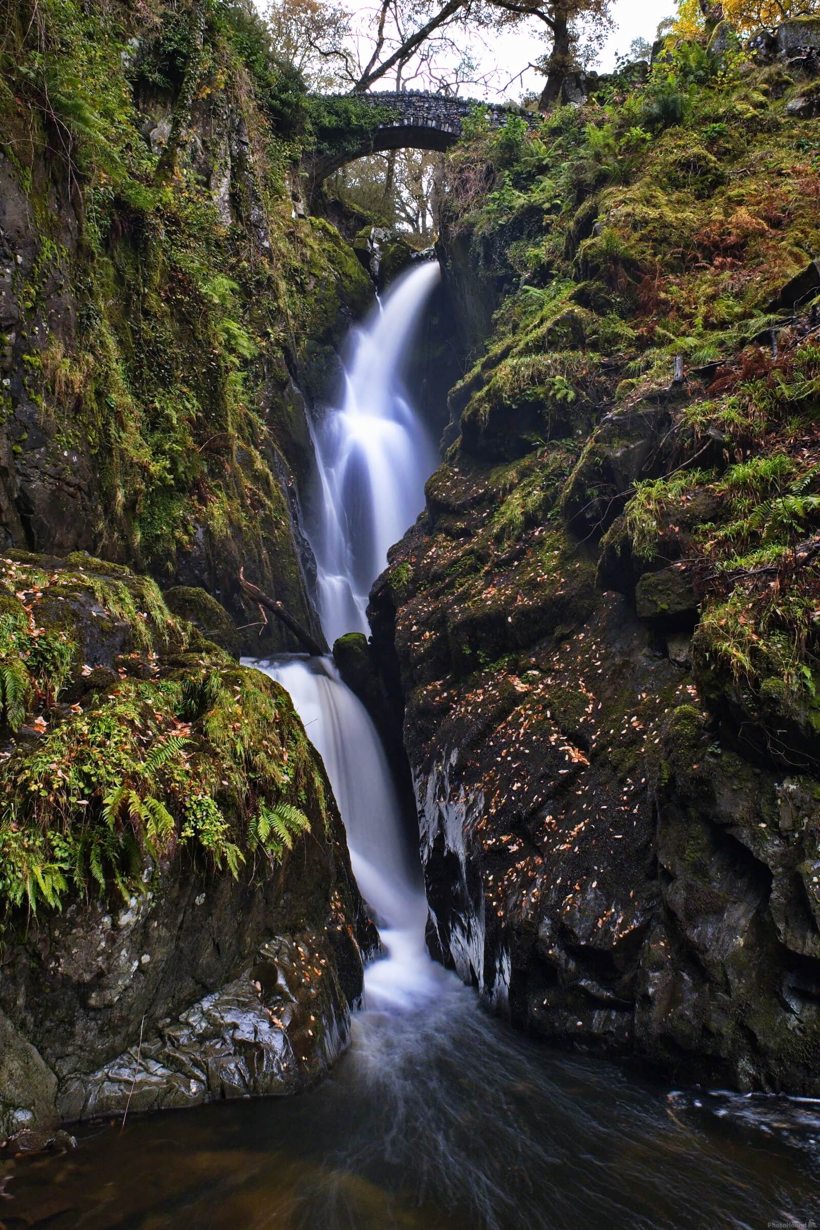 Image of Aira Force and High Forces, Lake District by Gary Calland