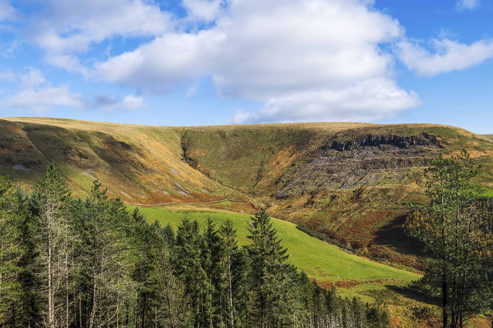 Image of Head Of The Garw Valley by Steven Godwin