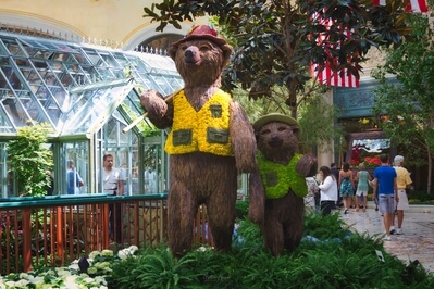 photo locations in Clark County - Bellagio Conservatory & Botanical Gardens