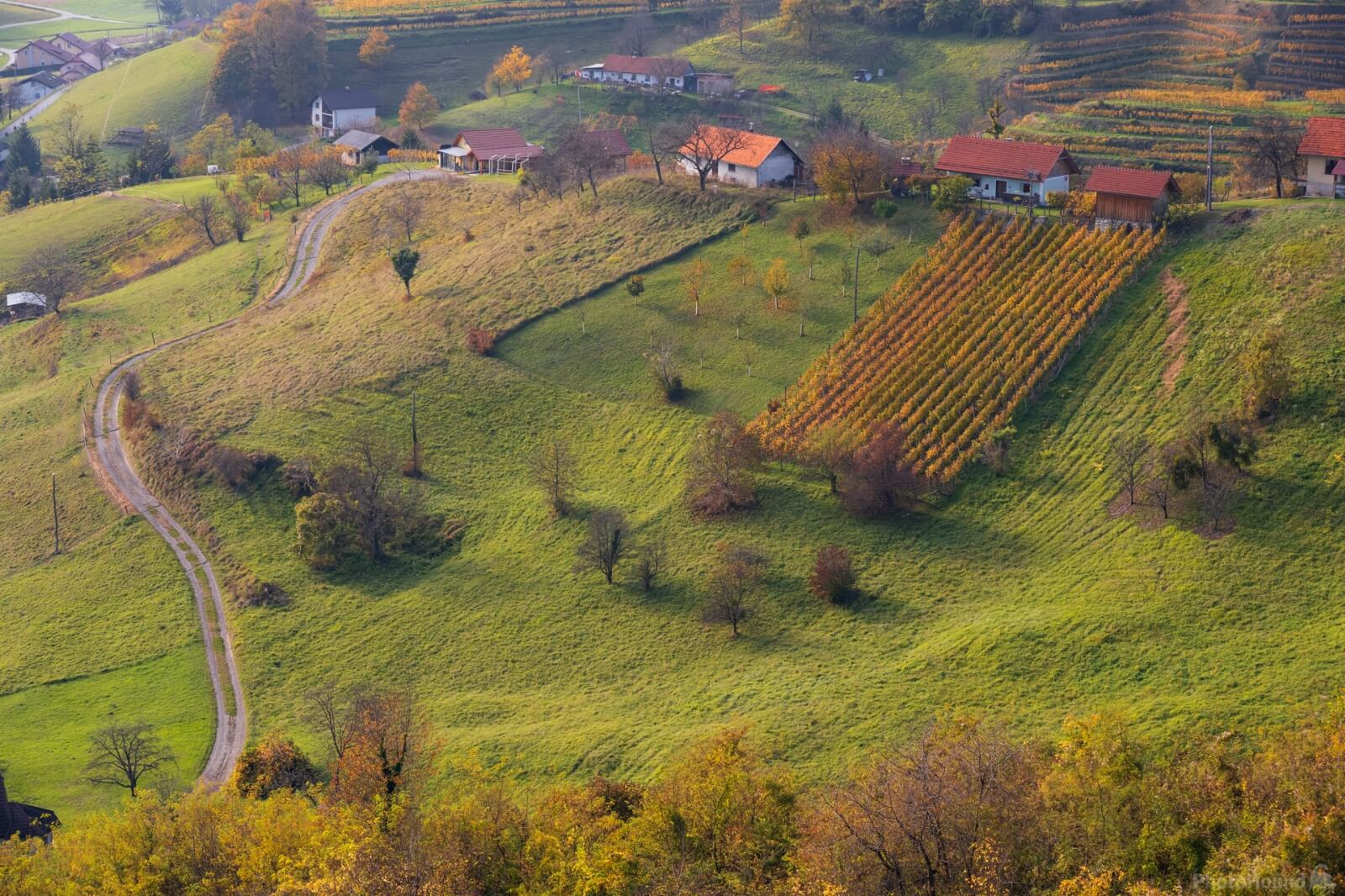 Image of Belski Vrh Views by Luka Esenko