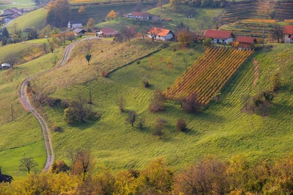 Farm fields around Belski vrh