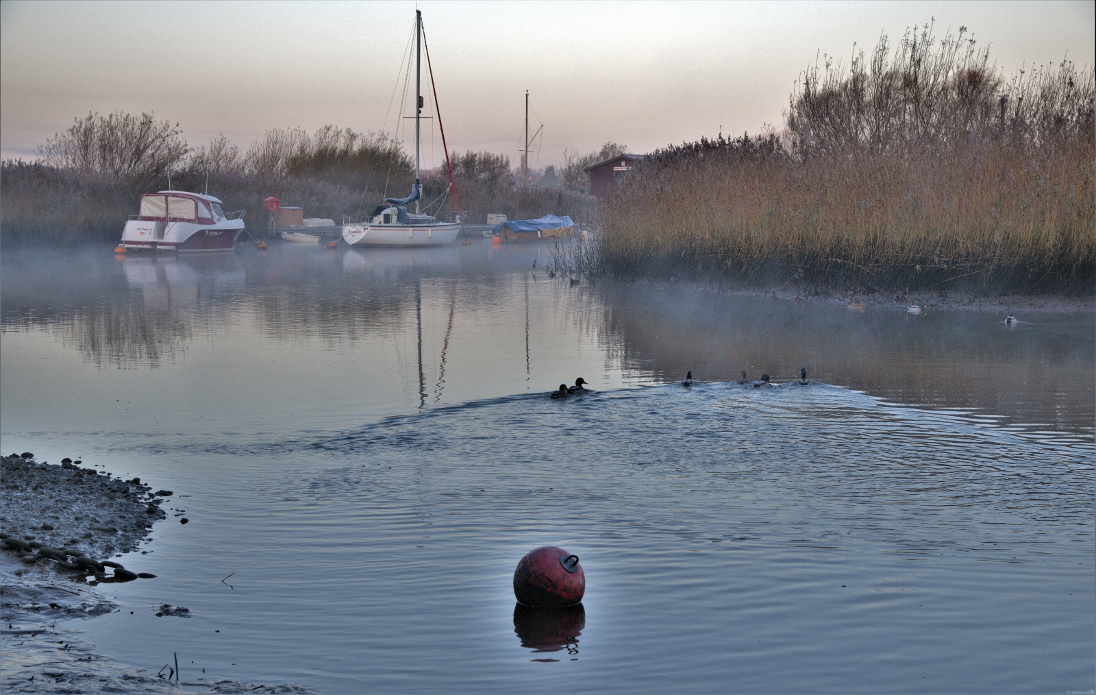 Image of Redclyff yacht and rowing club river Frome. by michael bennett