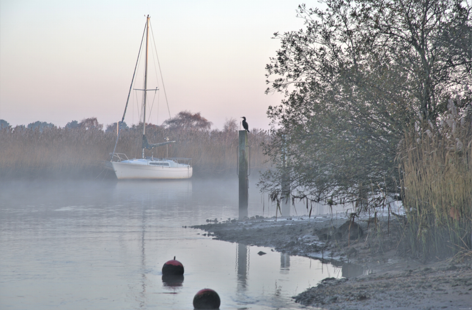Image of Redclyff yacht and rowing club river Frome. by michael bennett