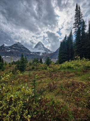 pictures of Canada - Mount Assiniboine,  East Kootenay