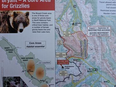 Grizzly Bear country