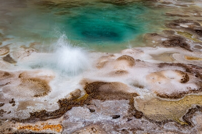 photo locations in Yellowstone National Park - Spasmodic Geyser
