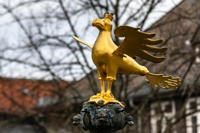 The imperial eagle - the icon of Goslar