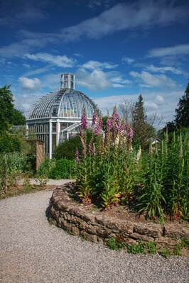 pictures of Geneva - Jardin Botaniques