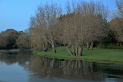 Picture of River Stour Bend - River Stour Bend