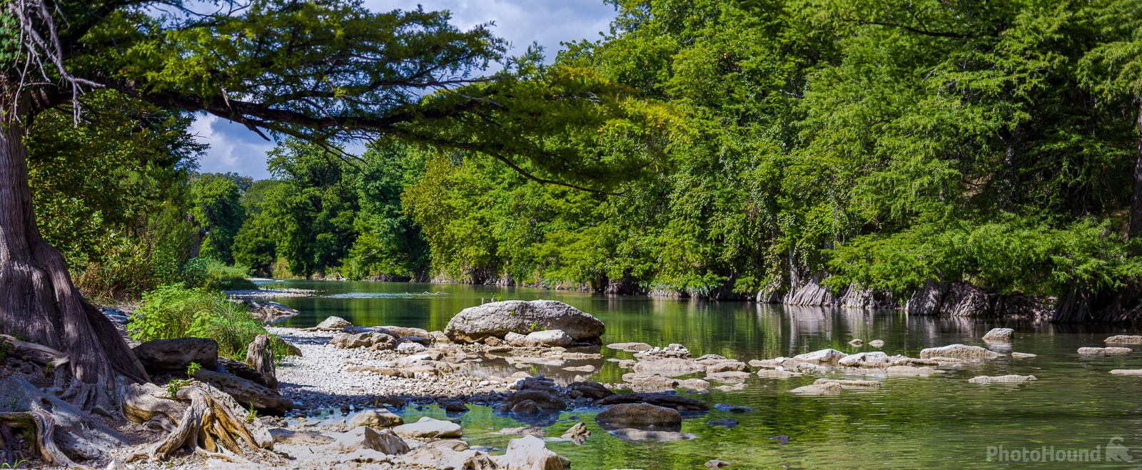 Image of Guadalupe State Park - Along the River by Jim Spickard