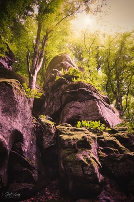 images of Luxembourg - Schelmelee & Rammelee Rock formations