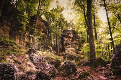 Luxembourg images - Schelmelee & Rammelee Rock formations