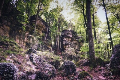 Luxembourg photos - Schelmelee & Rammelee Rock formations