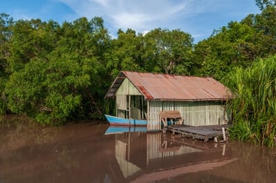 Boat house in Tanjung Puting national park