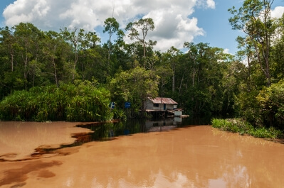 Confluence of Sekonyer and Sungai Kecil rivers