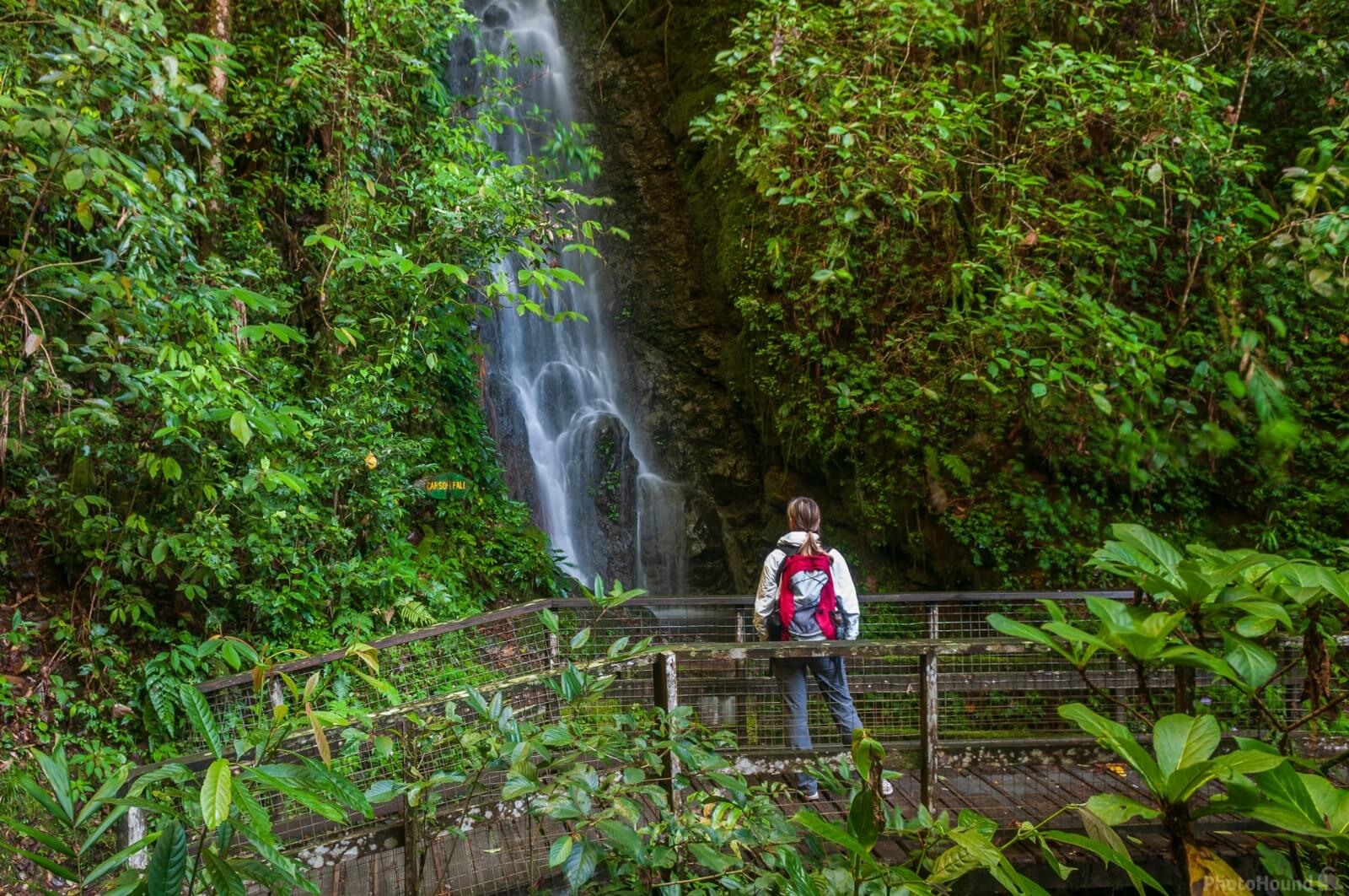 Image of Mt Kinabalu Walks and Botanical Garden by Luka Esenko