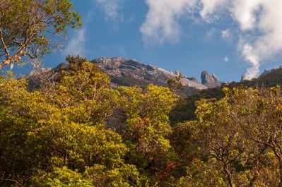 Mt Kinabalu View