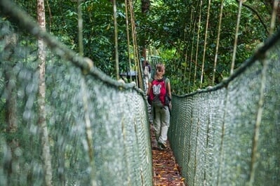 instagram spots in Sarawak - Gunung Mulu Canopy Walk