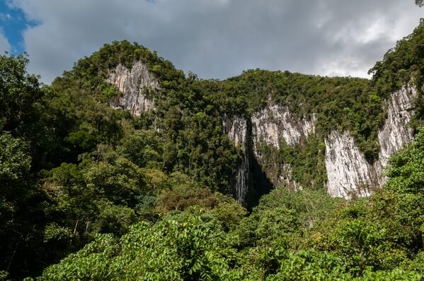 Gunung Mulu - Bat Cave