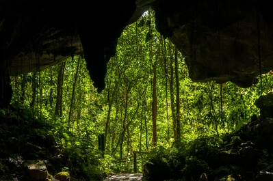 images of Malaysia - Gunung Mulu - Lang and Deer Caves