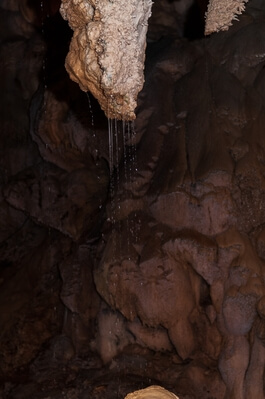 Gunung Mulu - Lang Cave