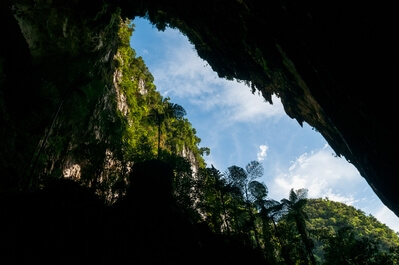 Gunung Mulu - Deer Cave