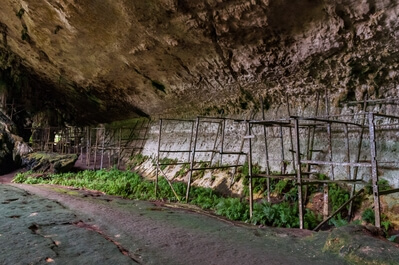 Photo of Niah Caves National Park - Niah Caves National Park