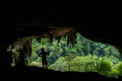 Malaysia pictures - Niah Caves National Park