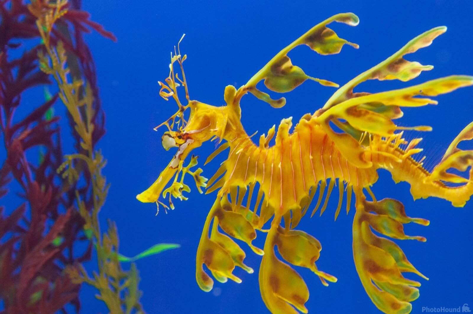 Image of S.E.A Aquarium Sentosa Island by Luka Esenko