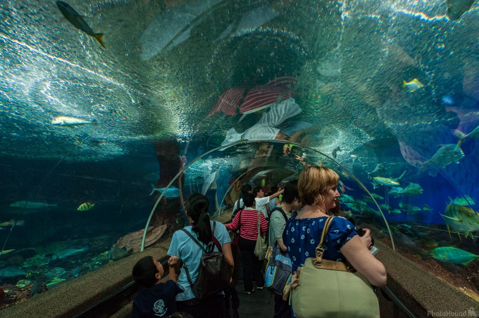 Image of S.E.A Aquarium Sentosa Island by Luka Esenko