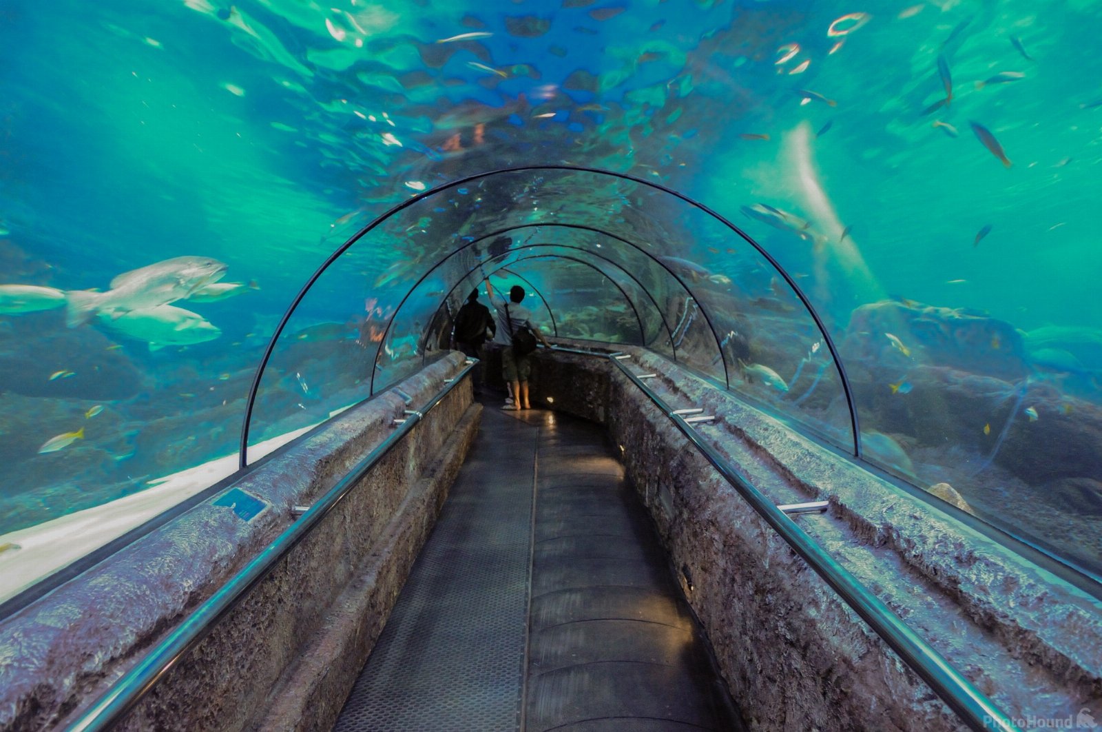 Jakarta Aquarium photo spot, Kecamatan Grogol petamburan