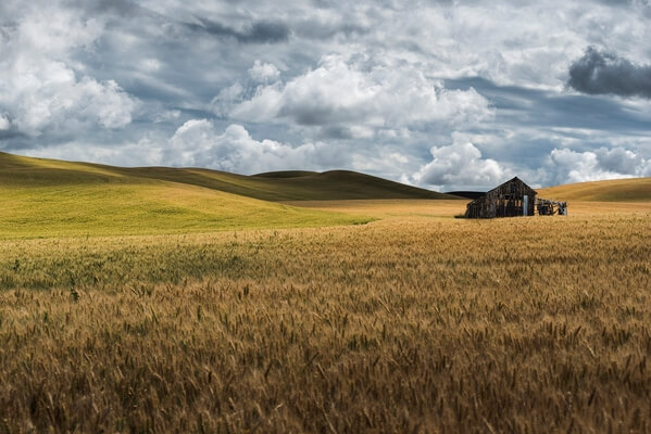 70mm shot right off Hwy 195. This old shed usually has some nice sky's behind it to the east. 
