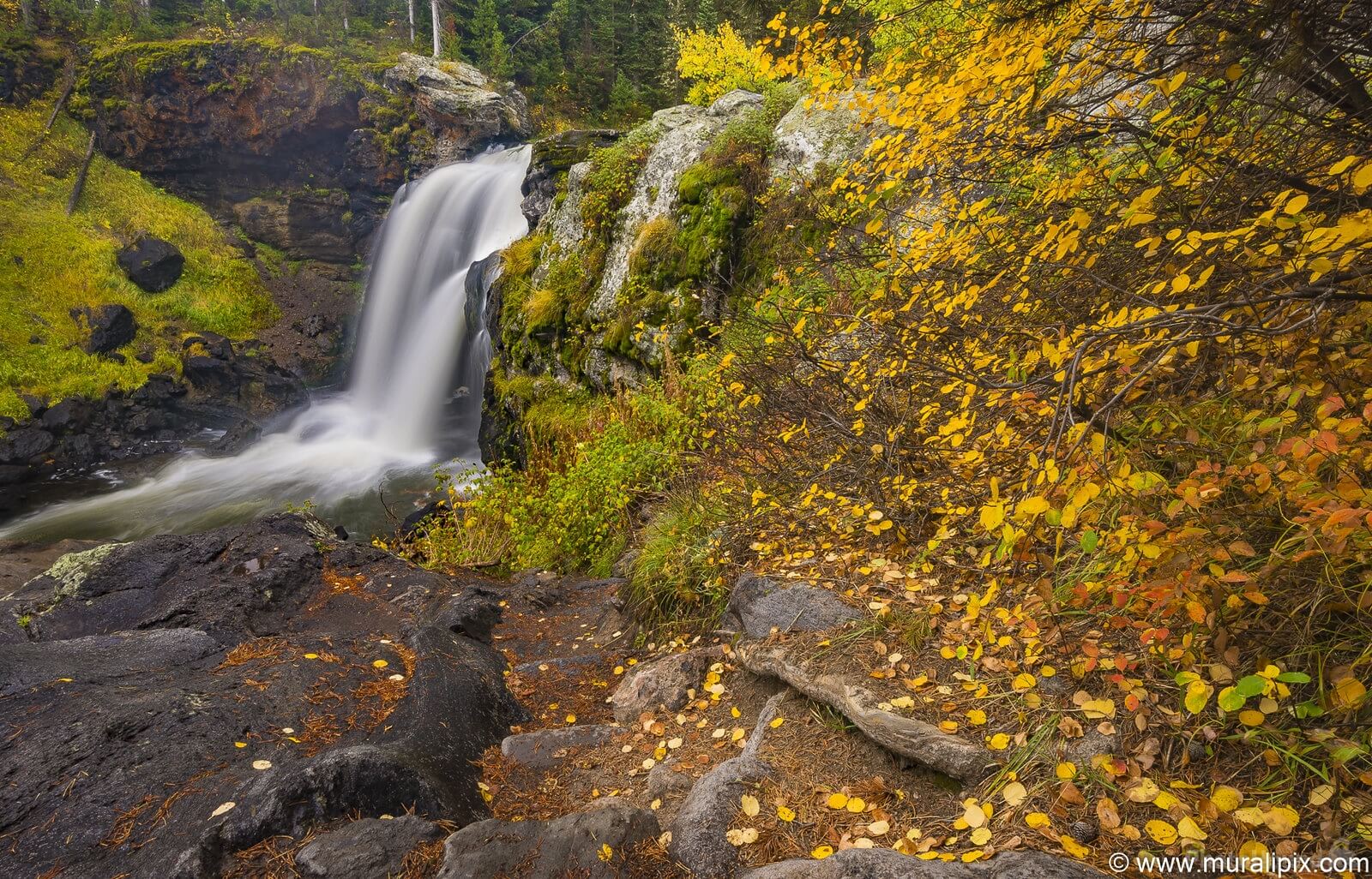 Image of Moose Falls by Murali Narayanan