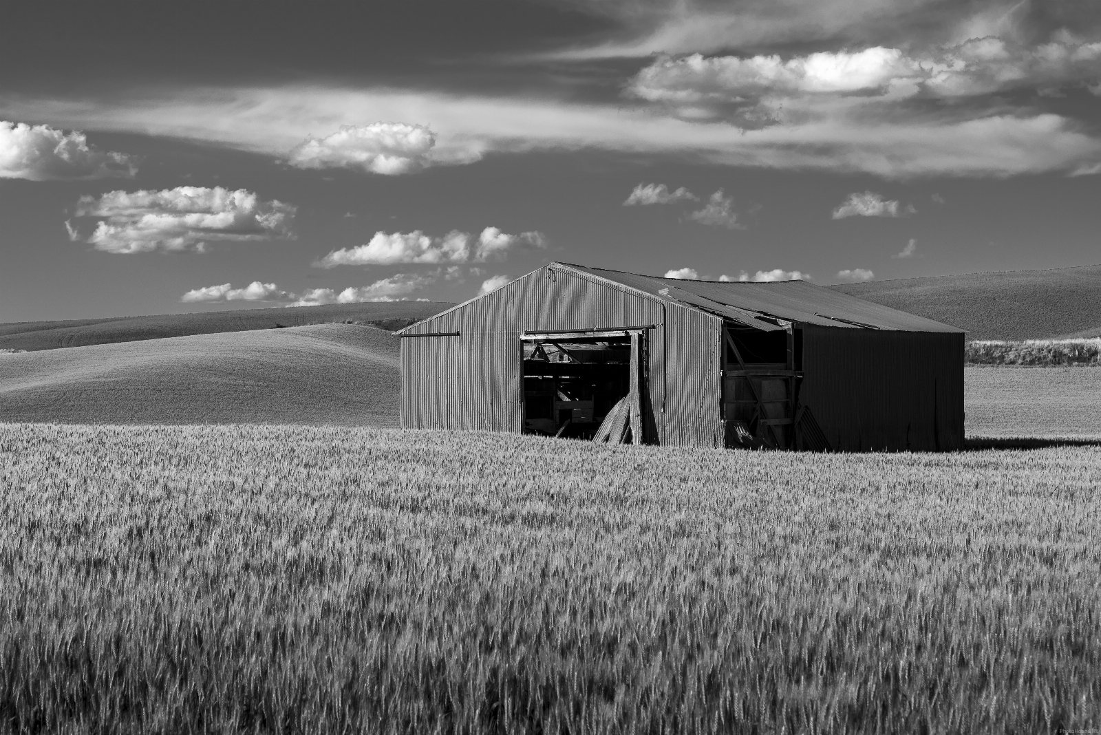 Image of Senator Eugene Prince Road Old Steel Shed and Lone Tree by Gabe Garcia