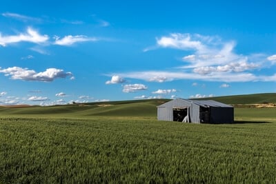 images of Palouse - Senator Eugene Prince Road Old Steel Shed and Lone Tree