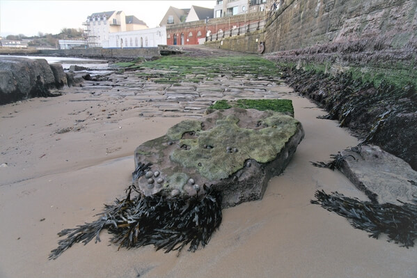 Swanage beach at low tide.