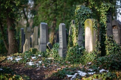 photo spots in Prague - New Jewish Cemetery in Prague