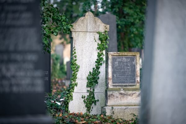 New Jewish Cemetery in Prague
