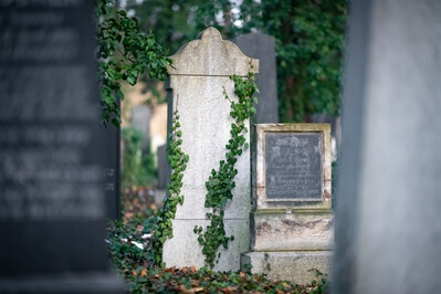 photos of Prague - New Jewish Cemetery in Prague