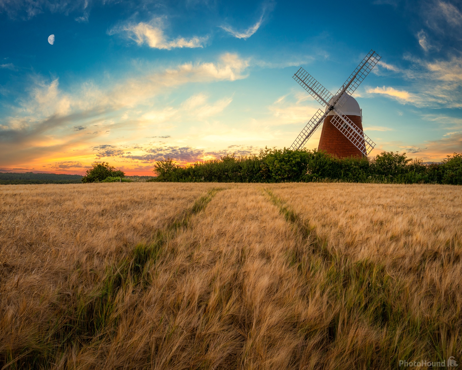 Image of Halnaker Windmill by Jakub Bors