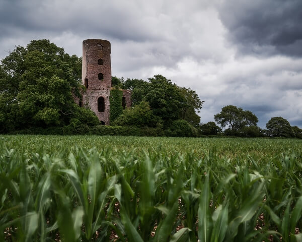 Field view of the tower - early July.